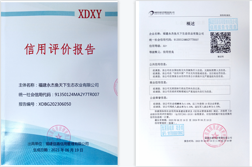永杰鱼天下.png